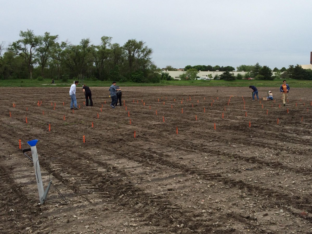 First Field Season