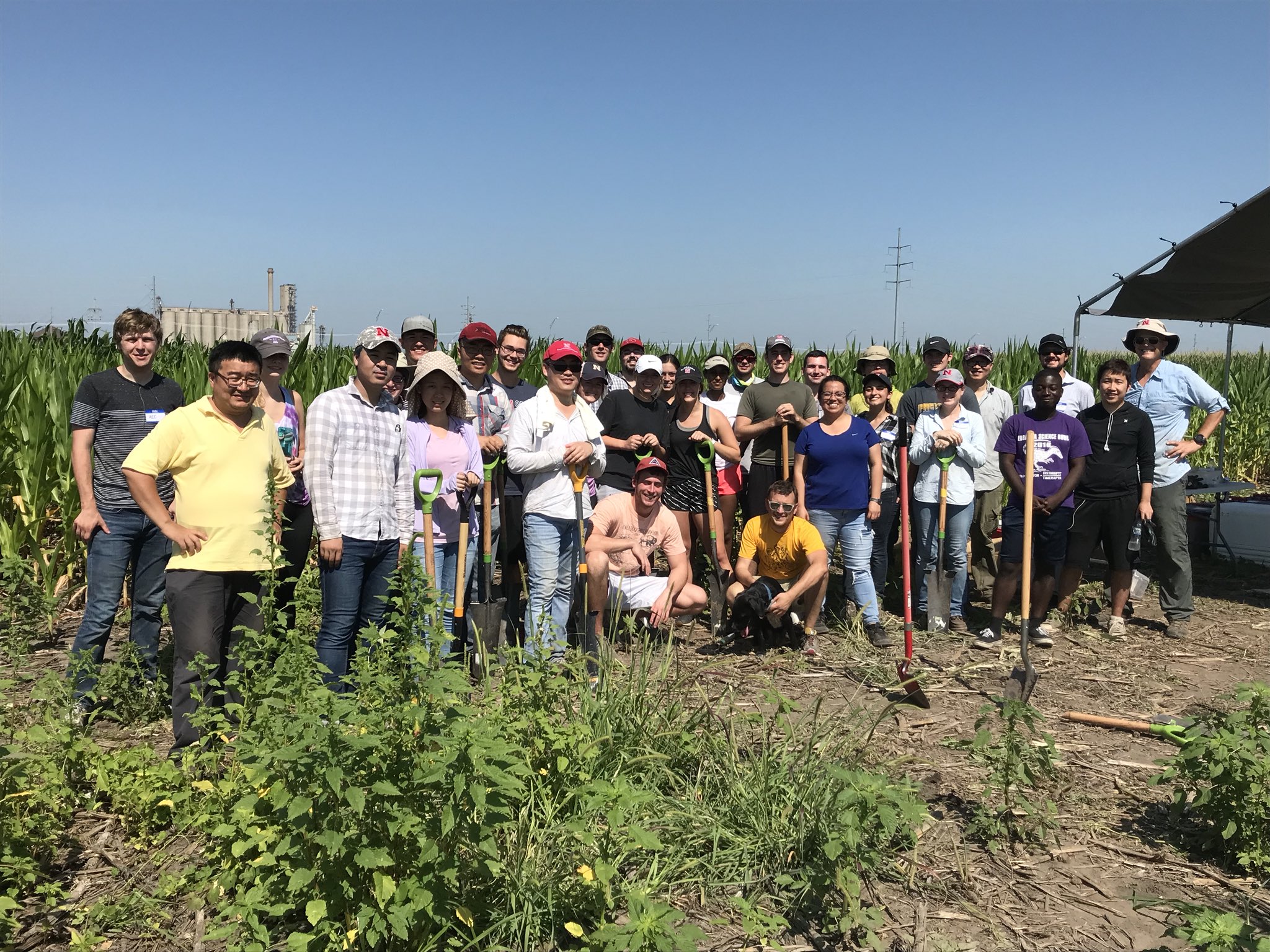 CRRI Root Sampling