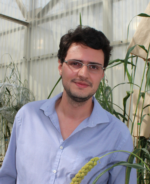 Daniel Carvalho